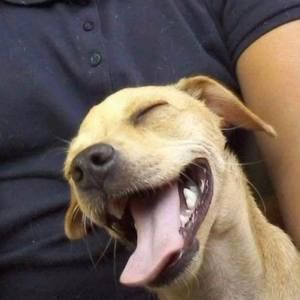 Meet your Posher, Ana